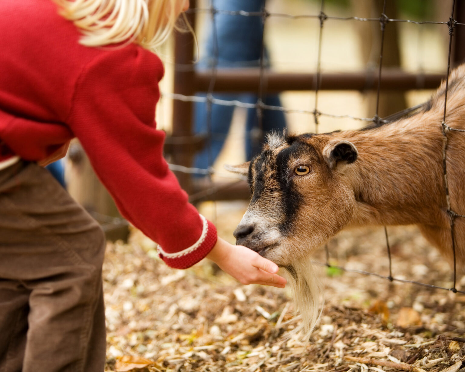 List Four Causes Of Livestock Diseases